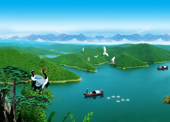 全自动高端智能